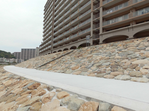 武庫川水系武庫川河川改修工事